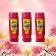 پودر حشره کش گاردیوم مدل D125 وزن 120 گرم مجموعه 3 عددی