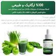 کلروفیل مایع مکستون مدل FC حجم 30 میلی لیتر