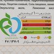 وافل عسلی نادری - 37 گرم بسته 24 عددی