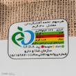 تخمه آفتابگردان کلاسیک سنجابک - 92 گرم