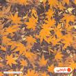 روکش لحاف آدنو مدل Autumn کد IR176 یک نفره سایز 160x220 سانتی متر