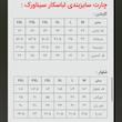 لباس کار مهندسی طرح سیناورک به همراه شلوار