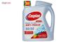 ضدیخ خودرو کاسپین مدل AM 2L50/50+1LS مجموعه 2 عددی