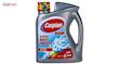 ضدیخ خودرو کاسپین مدل AM 2L50/502LSحجم 4000 میلی لیتر مجموعه 2 عددی