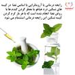 کیسه تسکین درد هیاهو مدل آروماتراپی اسانس نعنا کد Wheat-35x35-6 