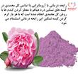 کیسه تسکین درد هیاهو مدل آروماتراپی اسانس گل محمدی کد Wheat-28x12 