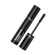 ریمل گلدن رز مدل Panaromic Lashes