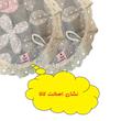 دستگیره صبا مدل آرشیدا کد 70 بسته 2 عددی
