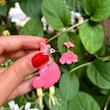 گوشواره دست‌ساز زنانه مدل غروب