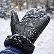 دستکش مدل چرم داخل خز دار کد 545