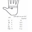 دستکش زنانه پاتن چرم آفتاب مدل M4