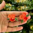 گوشواره دست‌ساز زنانه مدل گلبرگ
