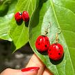 گوشواره دست‌ساز زنانه راز مدل کفشدوزک