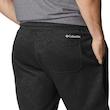 شلوارک مردانه کلمبیا مدل Columbia Trek Short