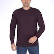 پلیور یقه گرد مردانه تریکو پاییزان مدل PR700