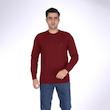 پلیور یقه گرد مردانه تریکو پاییزان مدل  PR700