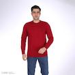 پلیور یقه گرد مردانه تریکو پاییزان مدل  PR700