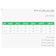 بارانی زنانه السانا مدل نیکدل کد 230379