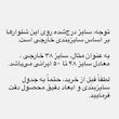 شلوار جین نیم‌بگ زنانه مدل shfl_1997