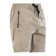 شلوارک ورزشی مردانه مدل GS-M-Dri Fit-317521