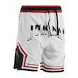 شلوارک ورزشی مردانه مدل GS-M-Dri Fit-290679