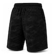 شلوارک ورزشی مردانه مدل GS-M-Dri Fit-317642