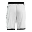 شلوارک ورزشی مردانه مدل GS-M-Dri Fit-236729