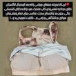 نیم تنه ورزشی زنانه مدل C2020