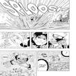 مجله Naruto 1 آگوست 2010
