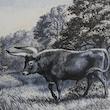 مجله Oil Painting in Public Ownership ژانويه 2020