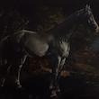 مجله Oil Painting in Public Ownership ژانويه 2020