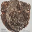 مجله Bilbical Archaeology Review دسامبر 2019