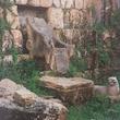 مجله Bilbical Archaeology Review Magazine دسامبر 2017