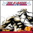 مجله Bleach 45 آگوست 2012