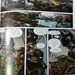 مجله BATMAN TEENAGE MUTANT NINJA TURTLES دسامبر 2015