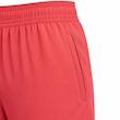 شلوار ورزشی اسلش زنانه نایکی مدل AIR DRI-FIT CORAL DD4145-814