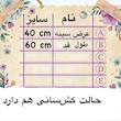 تاپ ورزشی زنانه کد 19
