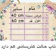 تاپ ورزشی زنانه کد 1