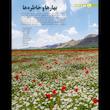مجله فیلم امروز شماره 49