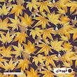 ملحفه آدنو مدل Autumn کد CH136 دونفره سایز 160x200 سانتی متر