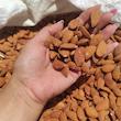 مغز بادام شور نایبی - 40 گرم بسته 4 عددی