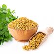 تخم شنبلیله دستچین کالا - 100 گرم