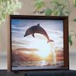 قاب عکس بکلیت مدل 15x15-208
