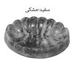 جاصابونی مدل گلبرگ کد 01