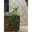 گلدان به همراه گل مصنوعی مدل سرخس آویز دار طرح پیچکی
