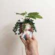 گلدان به همراه گل مصنوعی مدل دختر دست به چانه غوره ای 