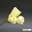 گل مصنوعی مدل سرگل رز بسته ده عددی
