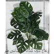 درختچه مصنوعی مدل انجیری سوراخ دار 18 BARG نیلارز