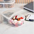 ظرف نگهدارنده کاجین مدل دو قلو  container box1