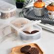 ظرف نگهدارنده کاجین مدل دو قلو  container box1